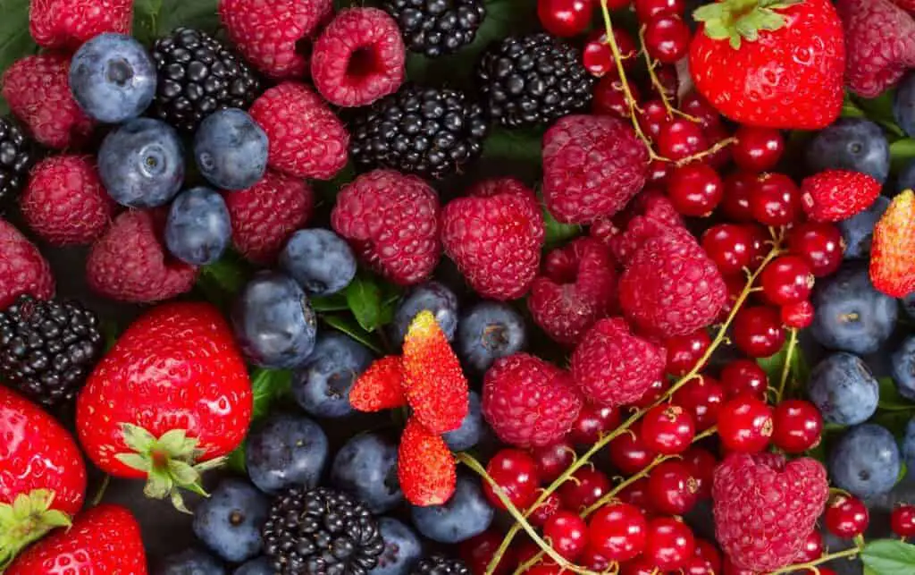 Fruits & Berries