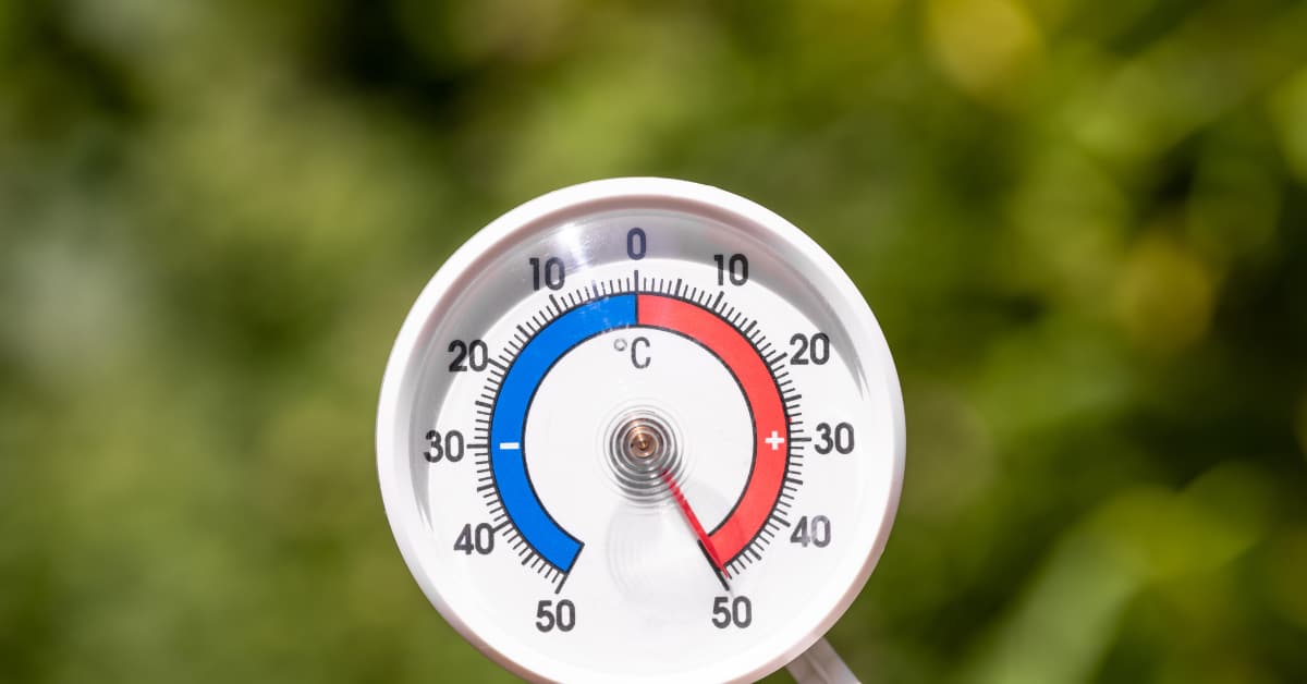 Best Indoor Outdoor Thermometers In 2023