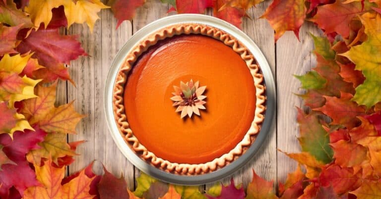 Pumpkin Pie Recipe